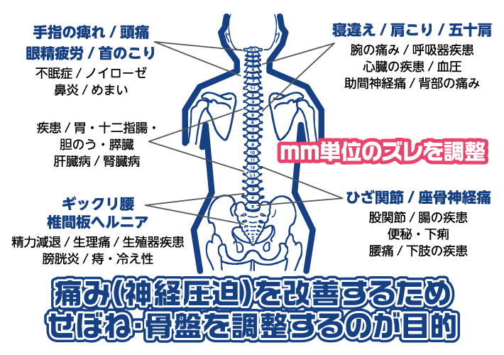 ミウラカイロプラクティックセンター - ミリ単位でのズレ調整